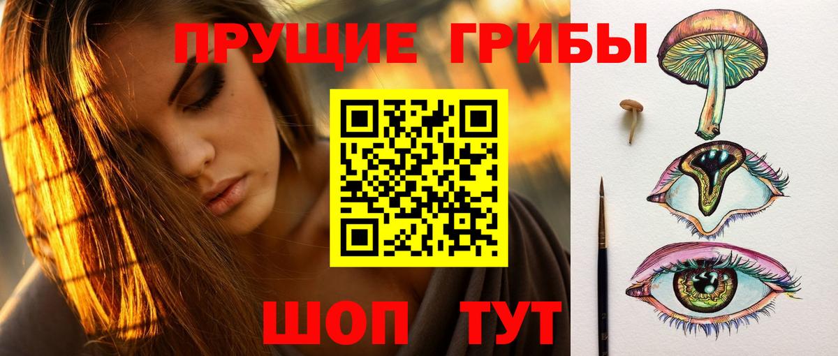 Галлюциногенные грибы Psilocybe Астрахань